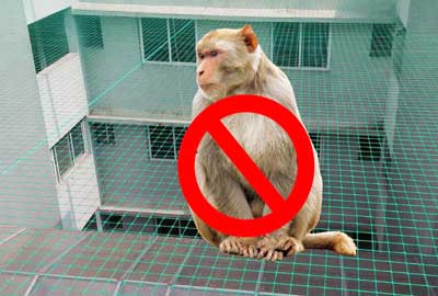 monkey safety nets